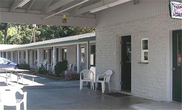 Motel Forest