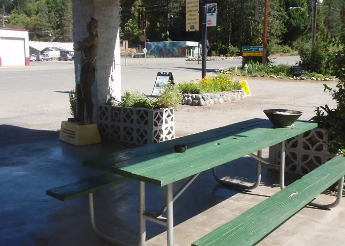 Forest Lodge Motel